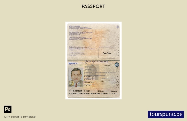 Plantilla de versión de pasaporte de Francia lista para imprimir